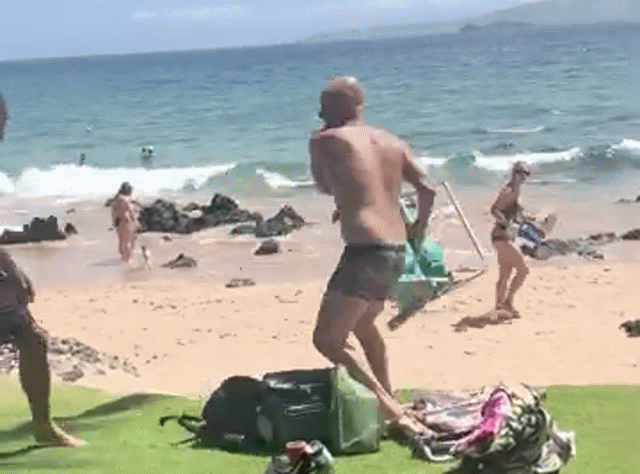 Hawaii Congressional Candidate Knocked The Fuck Out After Threatening Beachgoers