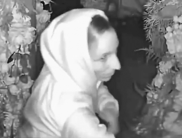 Burglars Who Broke Into Arizona Restaurant Seen Fucking On Surveillance Camera