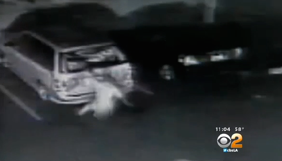 Video Shows Naked Man Jumping Head First Through SUV Window