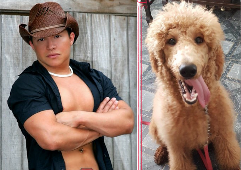 Exclusive: Bareback Gay Porn Producer Sued Over Poodle Breeding Business