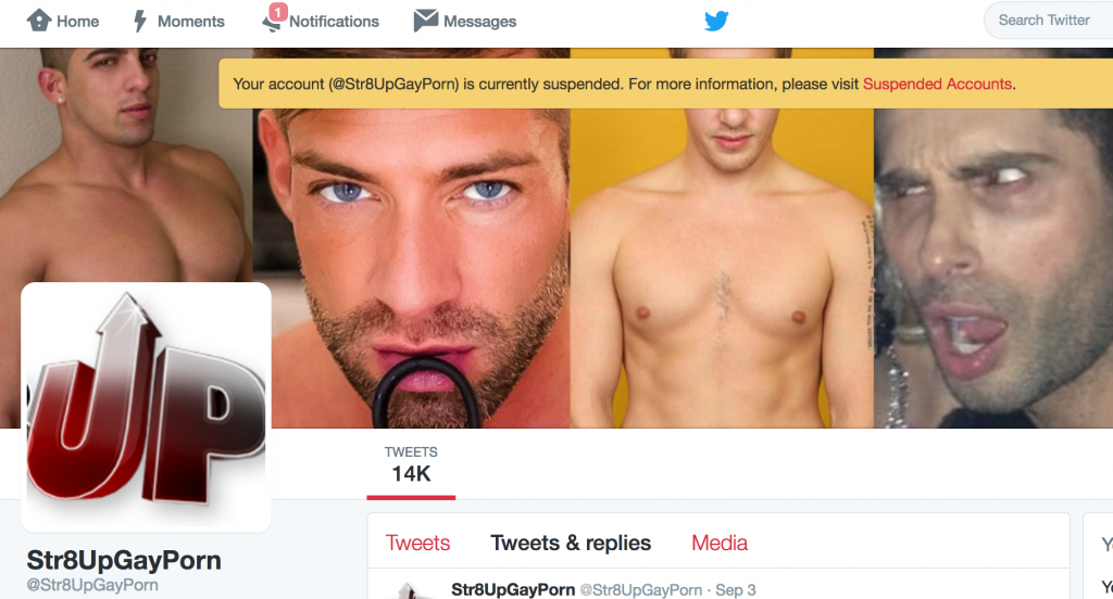 Quick Poll: Who Got Str8UpGayPorn Suspended From Twitter?