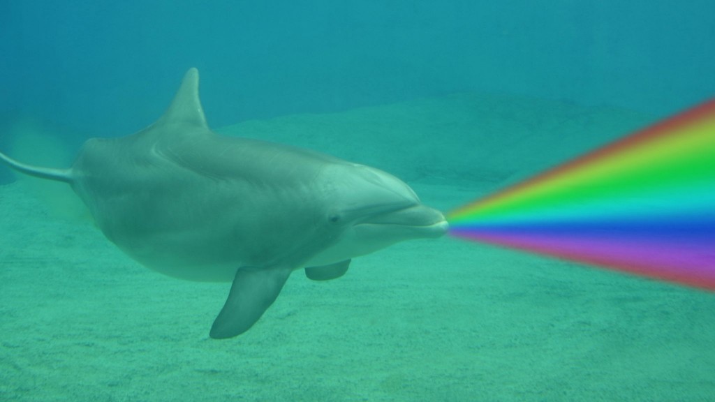 Gay Dolphins Are Taking Over The Ocean