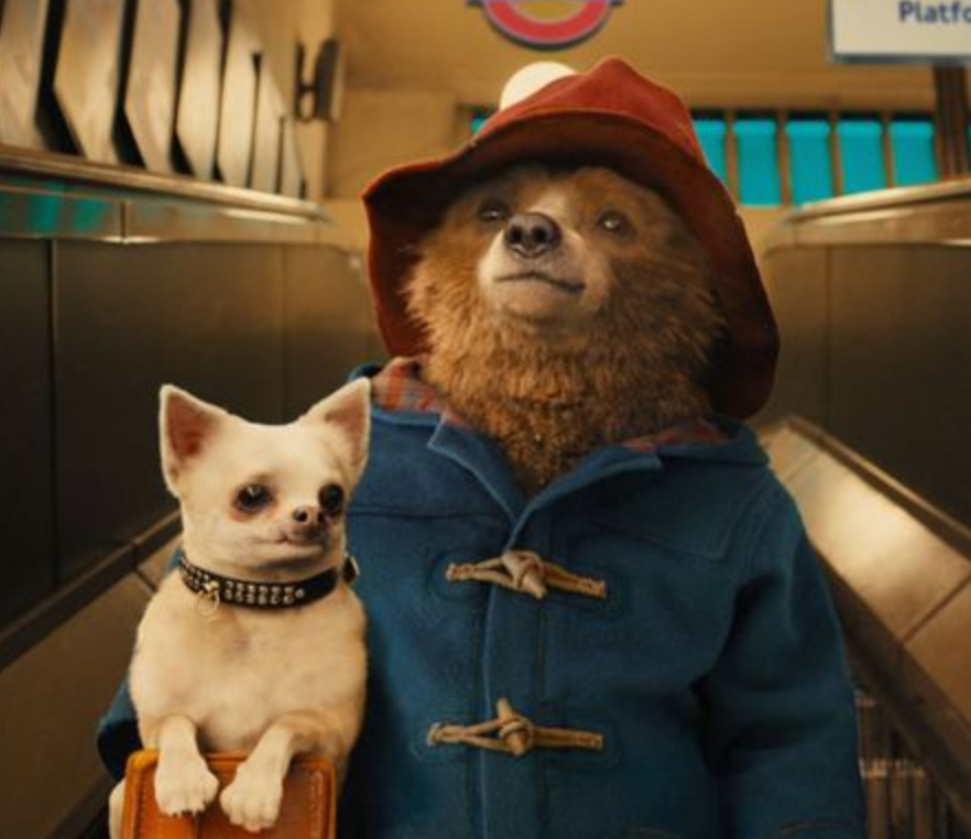 Elementary School Children Accidentally Shown Porn During Screening Of <em>Paddington Bear</em>