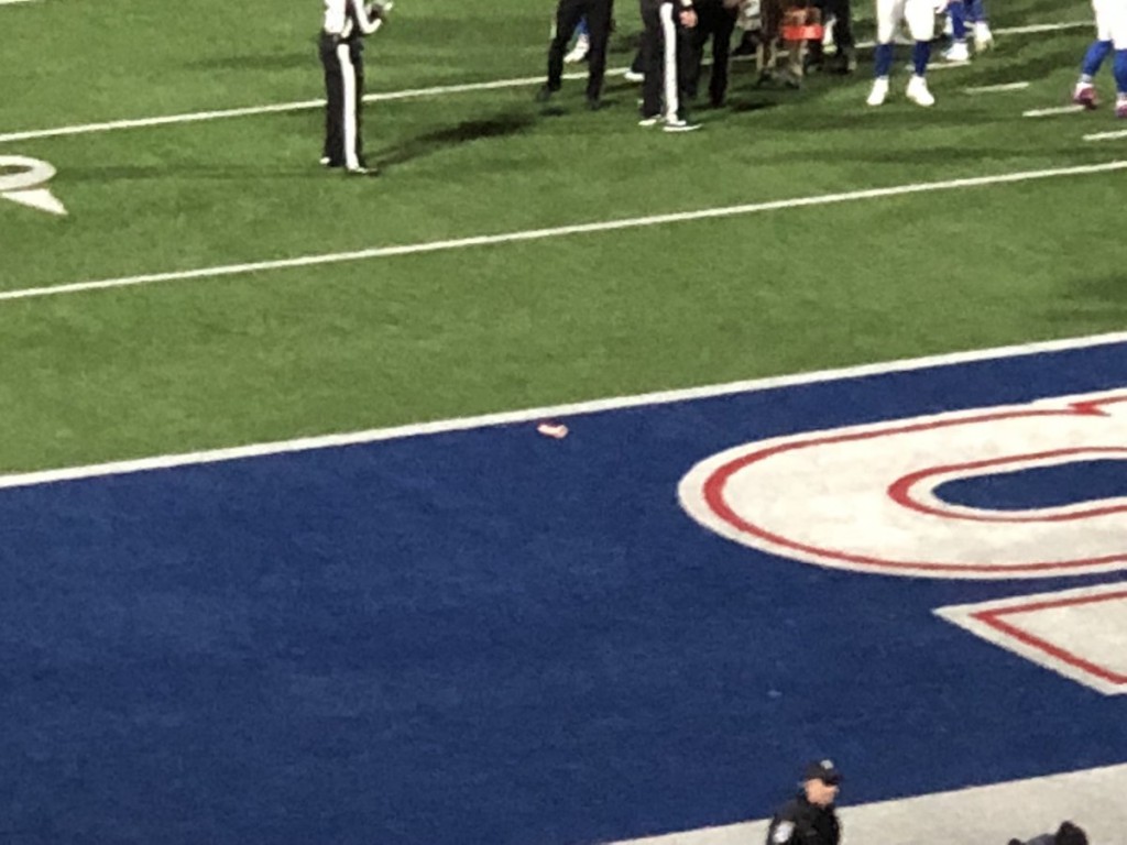 Dildo Thrown Onto Field During NFL Game