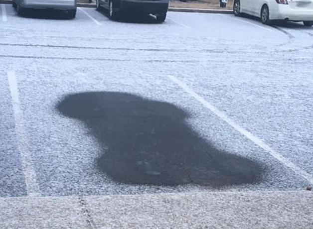 Tennessee Homeowner’s Association Attempts To Fine Woman For Penis Shape Left In Snow By Her Car