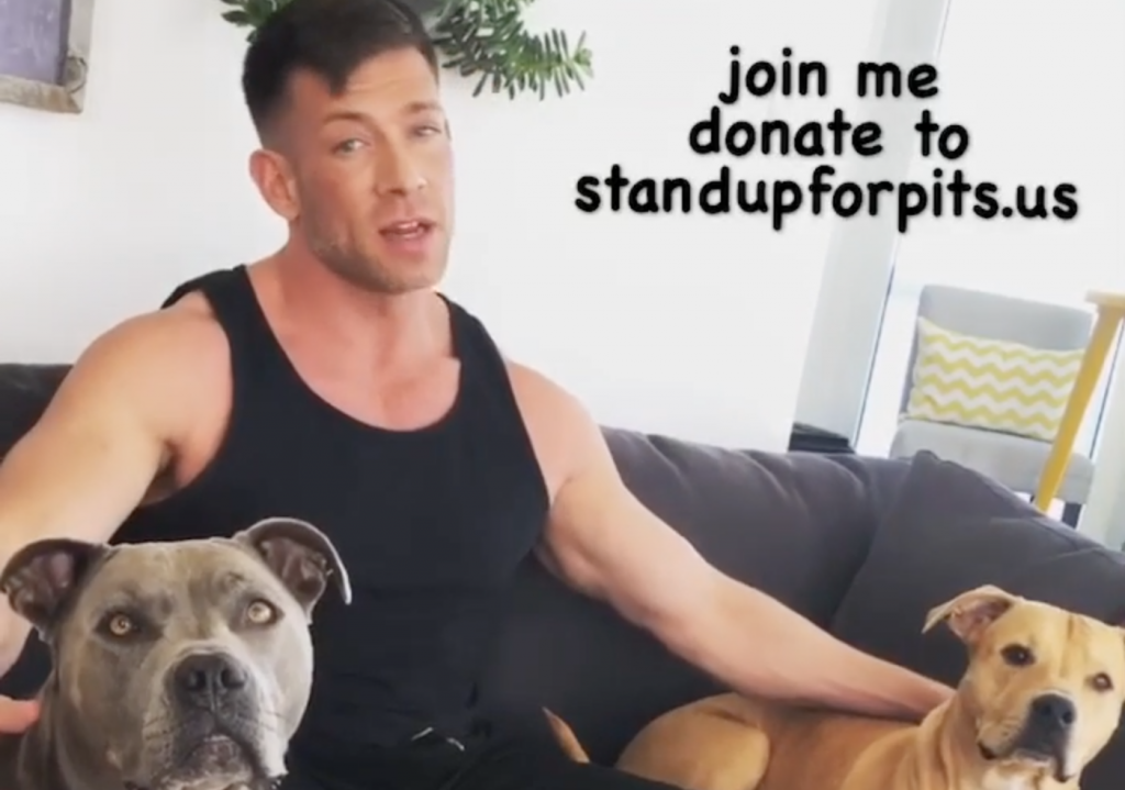 Gay Porn Star Bruce Beckham Explains Why He’s Donating A Percentage Of His Scene Rates To A Dog Charity