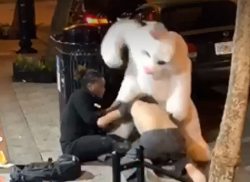 Man In Easter Bunny Suit Involved In Brawl Outside Florida (Of Course) Nightclub