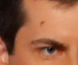 That Brown Smudge On Mayor Pete’s Forehead Last Night Was A Squished Bug