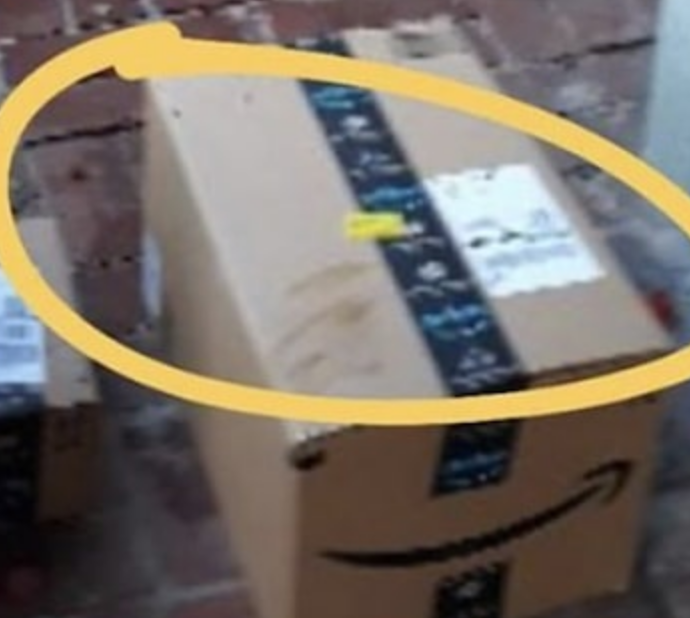 Amazon Delivery Man Caught On Ring Cam Spitting On Package