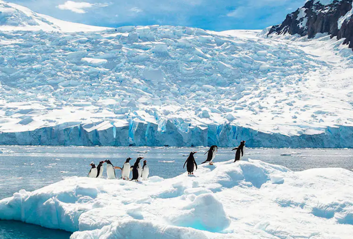 Antarctica Is The Greatest Place On Earth Right Now