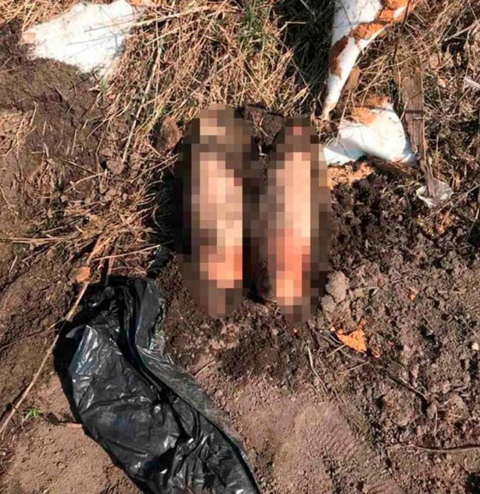 Russian “Hannibal Lecter” Arrested After Missing Man’s Penis Found In Yard