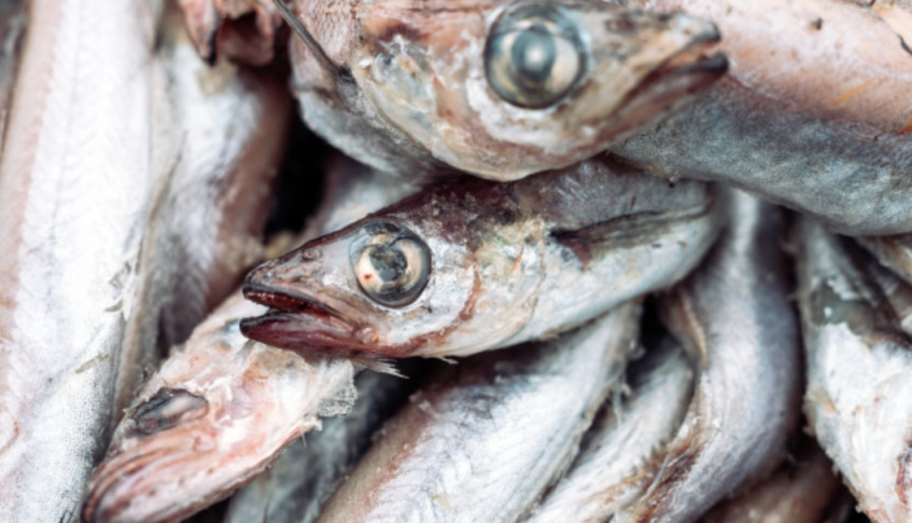 Longhaul COVID Symptoms Include “Disgusting” Smell Of Fish, Sulfur