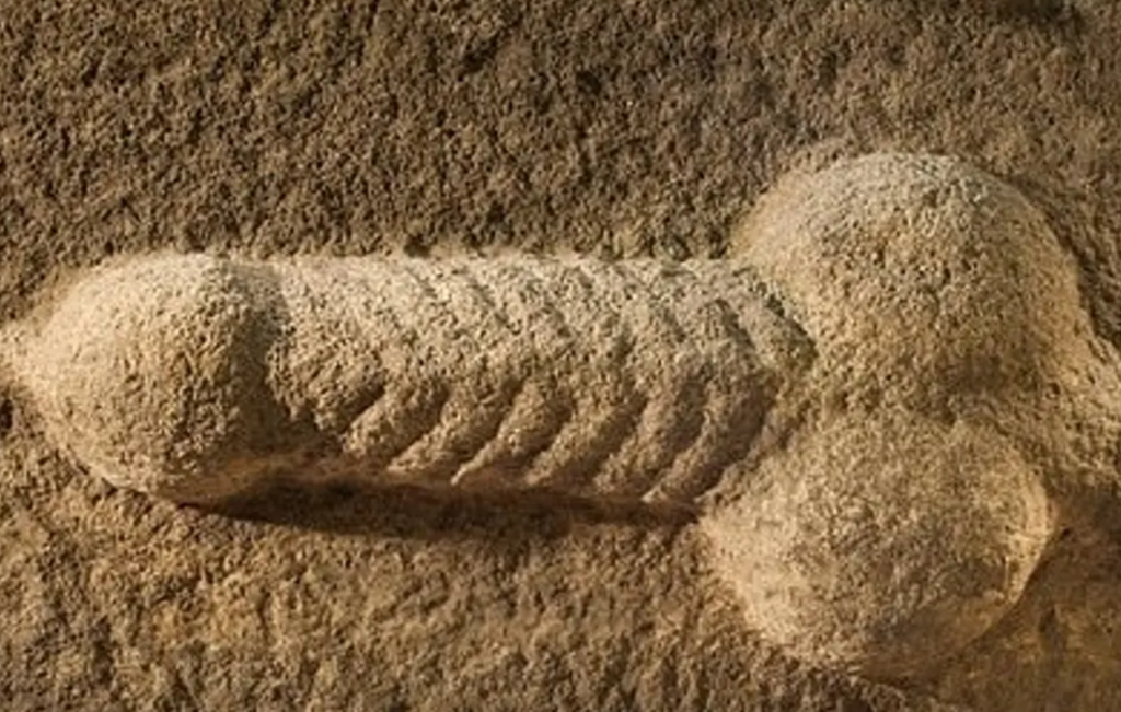 11-Inch Ejaculating Stone Penis Uncovered In English Archaeological Dig