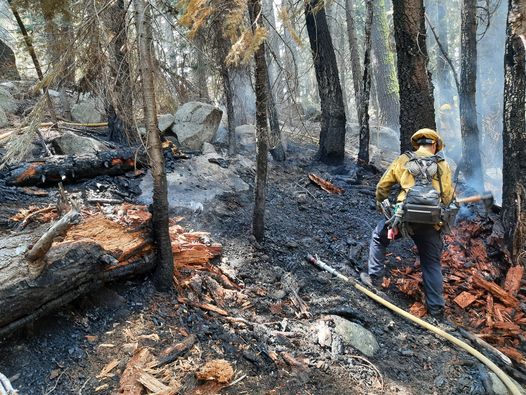 Bikini-Clad Woman Arrested For Starting California Wildfire