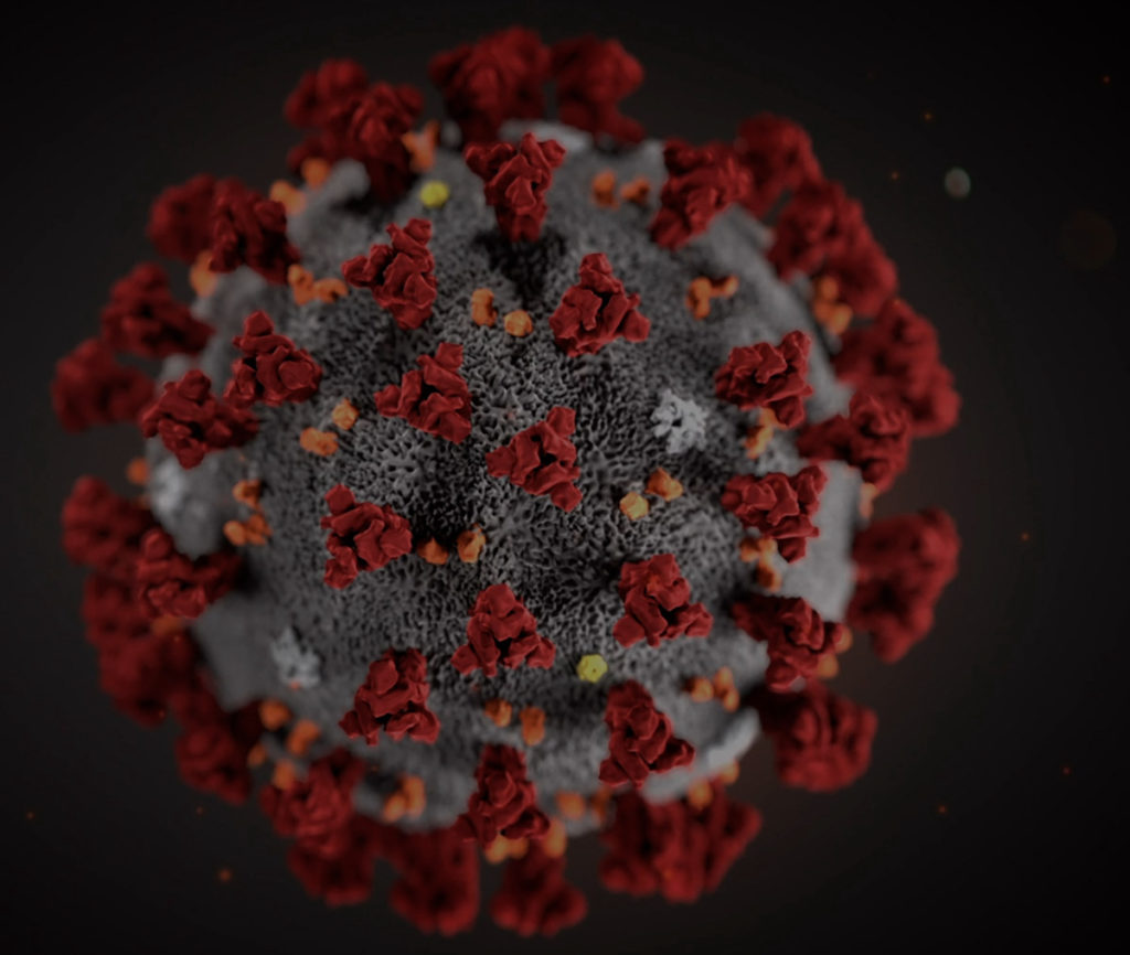 Coronavirus Death Toll Surpasses 6 Million