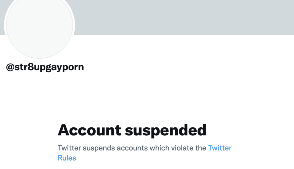 Now Str8UpGayPorn Has Been Suspended From Twitter, Too