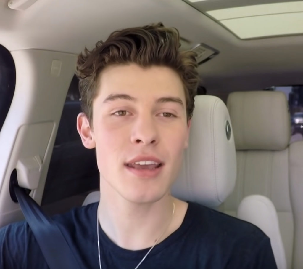 Now Shawn Mendes Has Canceled His Entire Tour