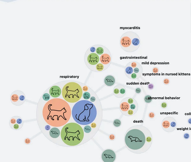 Global Tracker Of Animals Infected With COVID Includes Dogs, Cats, Deer, Leopards, Gorillas