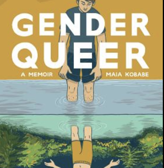 How <em>Gender Queer: A Memoir</em> Became America’s Most Banned Book