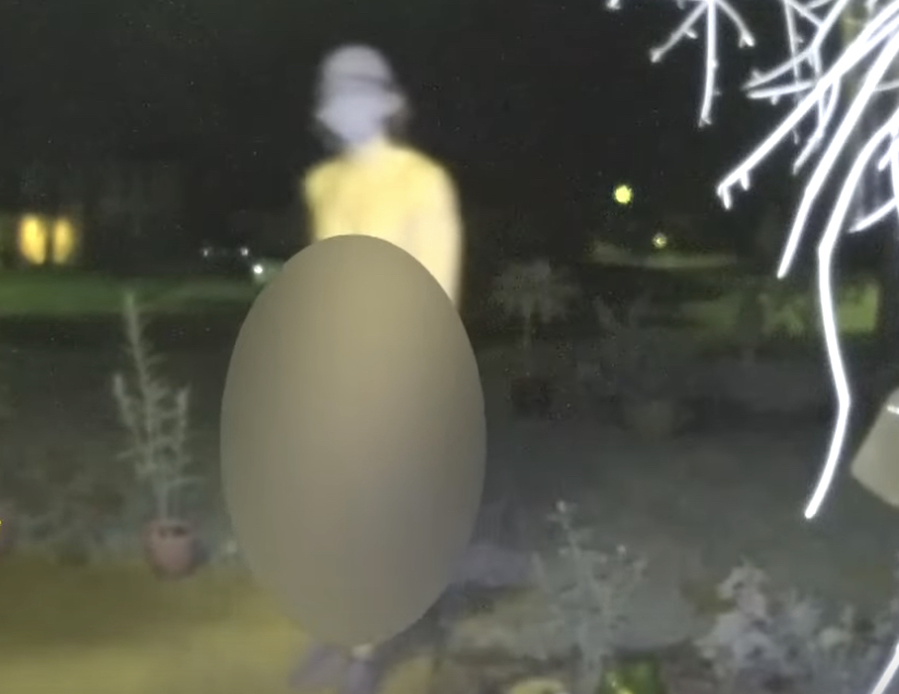 Texas Police Asking For Public’s Help In Identifying Naked Prowler
