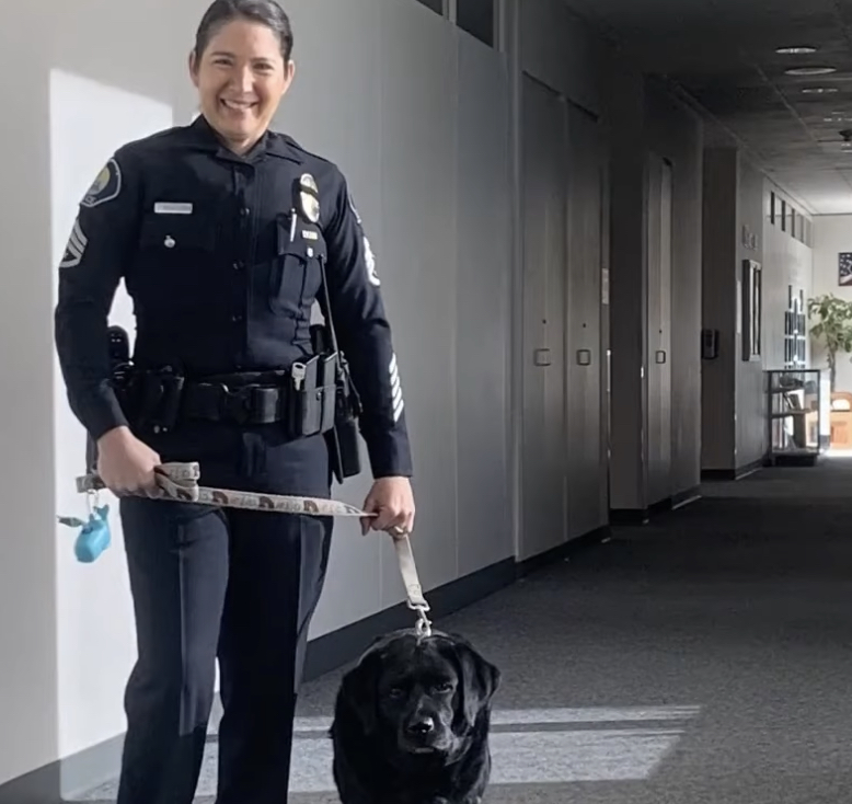 Retired Cop Launches Armed Dog Walking Service That Literally No One Can Afford