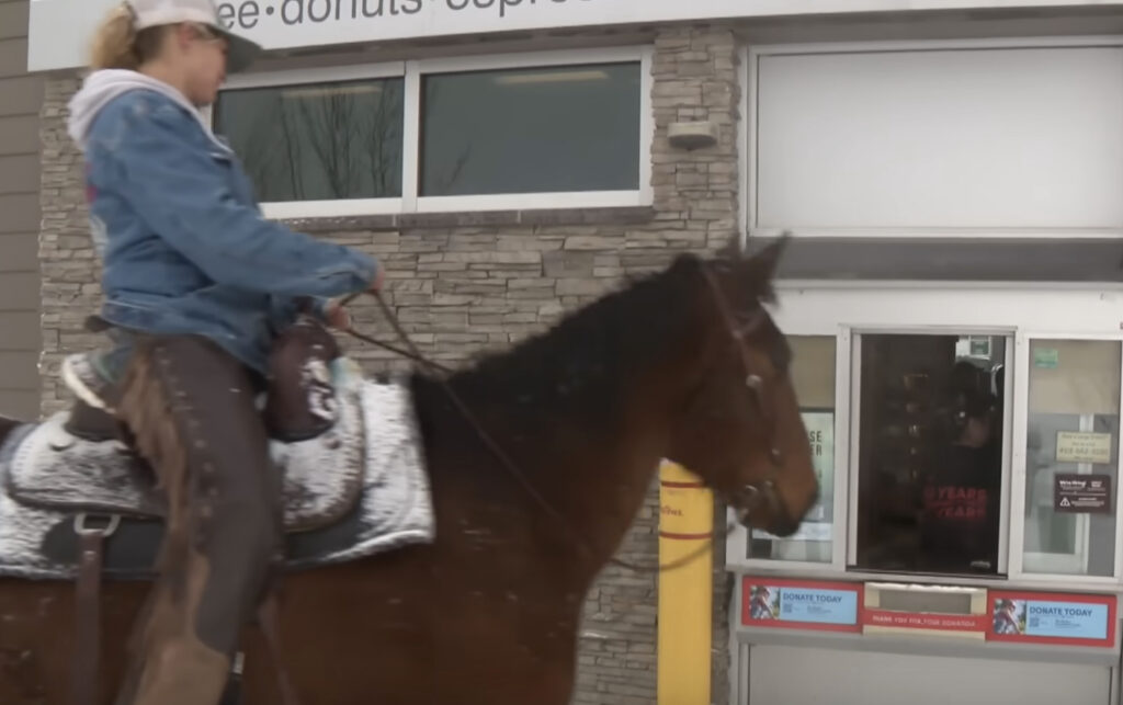Canadian Woman Threatened With Jail Time For Riding Horse Around Town