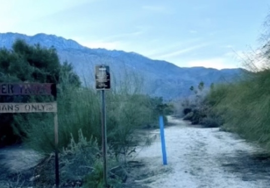 Palm Springs Police Issue Warning About People Fucking On Horse Trail