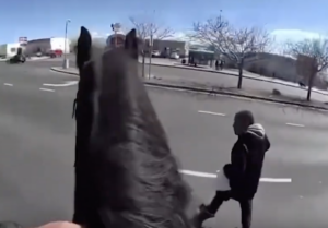 New Mexico Shoplifter Attempts To Outrun Police On Horseback: “It Wasn ...