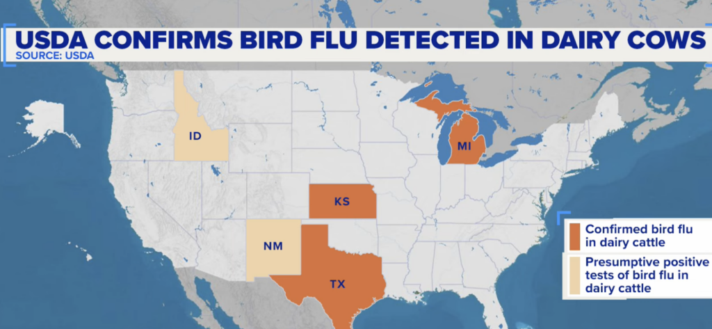 Bird Flu Outbreaks Spreading Among Dairy Cows Nationwide