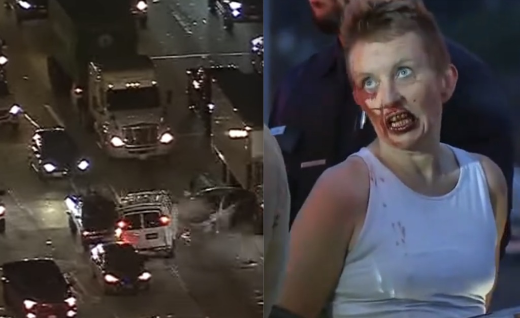Clueless Police Let Crazed Woman Drive Wrong Way On 405, Smashing Head-On Into Multiple Cars Going 100 MPH