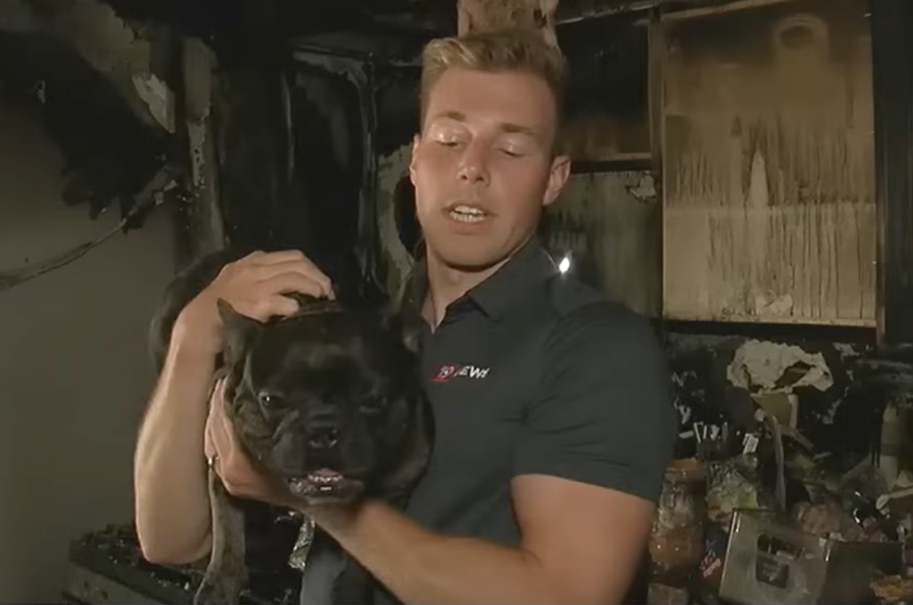 Security Video Shows French Bulldog Setting House On Fire