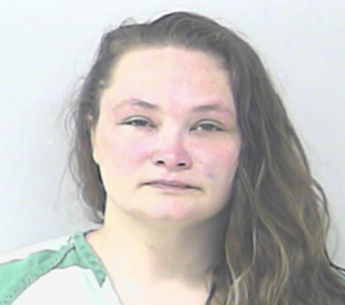 Florida Woman Arrested Again For Assaulting Boyfriend With Dildo