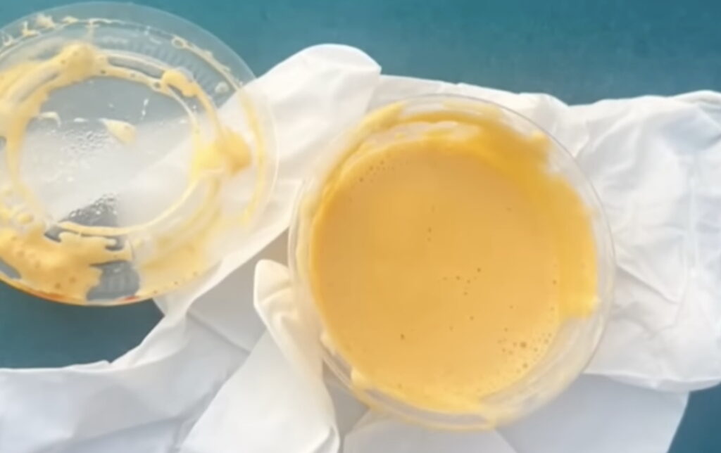 Florida Taco Bell Employee Arrested After Spitting In Customer’s Nacho Cheese Sauce