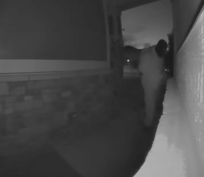 Anti-Gay MAGA Maniac Seen On Camera Stealing Pride Flags And Harassing Neighbors In Colorado Community