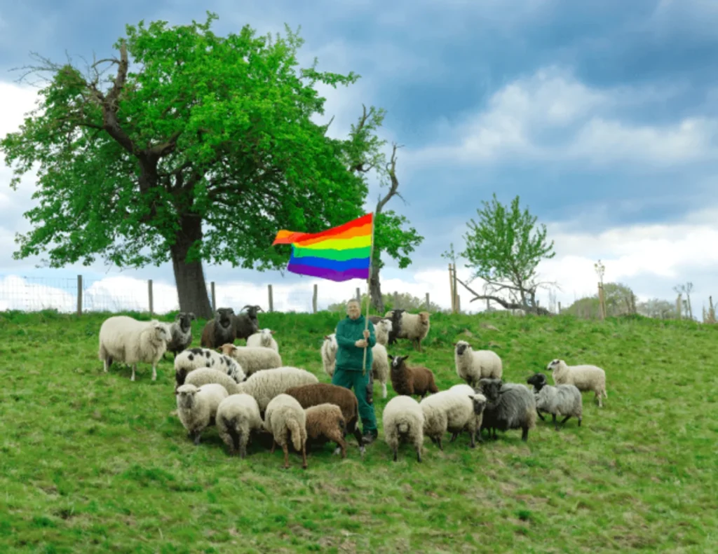 Fashion Show Includes Wool From Gay Sheep