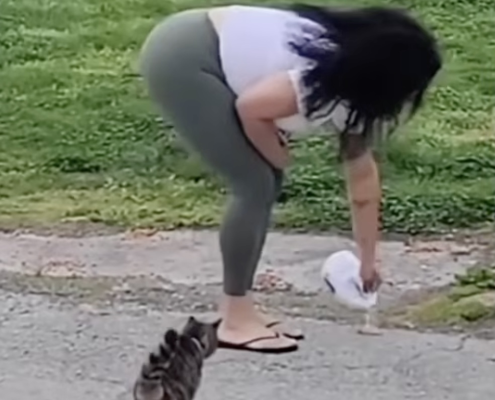 Pennsylvania Woman Charged With Animal Cruelty After Pouring Bleach On Cat Food