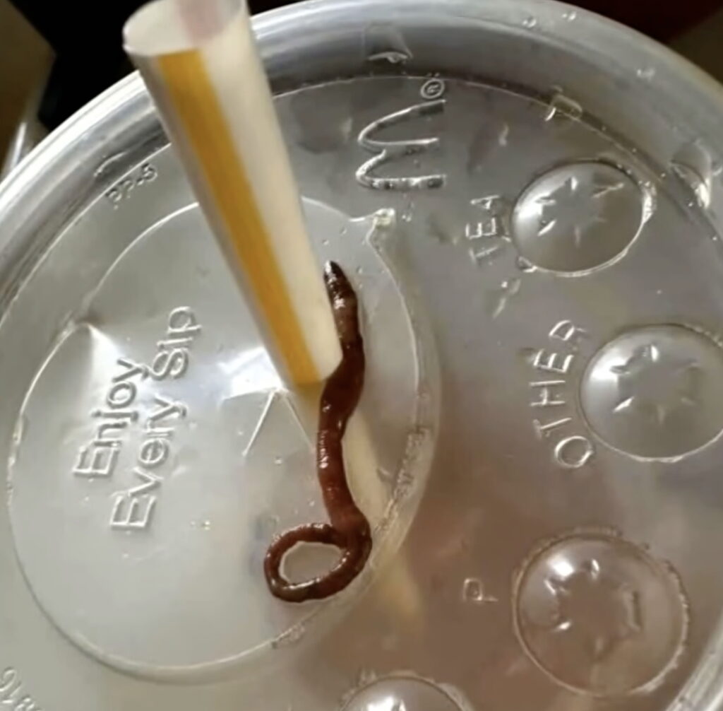 Multiple Worms Found In McDonald’s Sodas